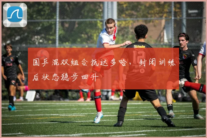 国乒混双组合抵达多哈，封闭训练后状态稳步回升