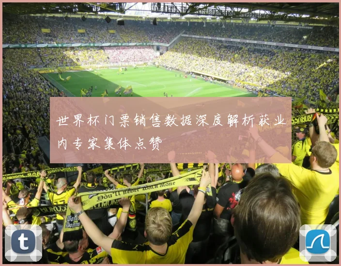世界杯门票销售数据深度解析获业内专家集体点赞