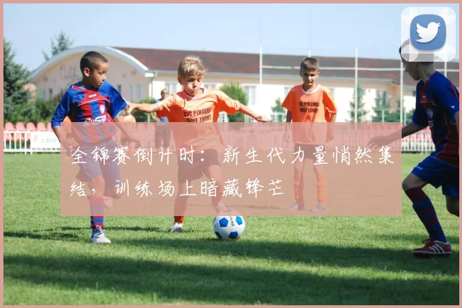 全锦赛倒计时：新生代力量悄然集结，训练场上暗藏锋芒