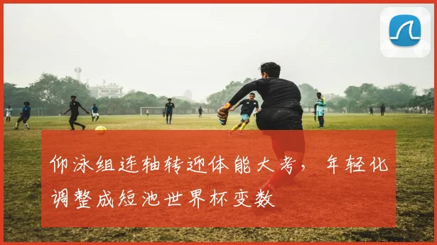 仰泳组连轴转迎体能大考，年轻化调整成短池世界杯变数