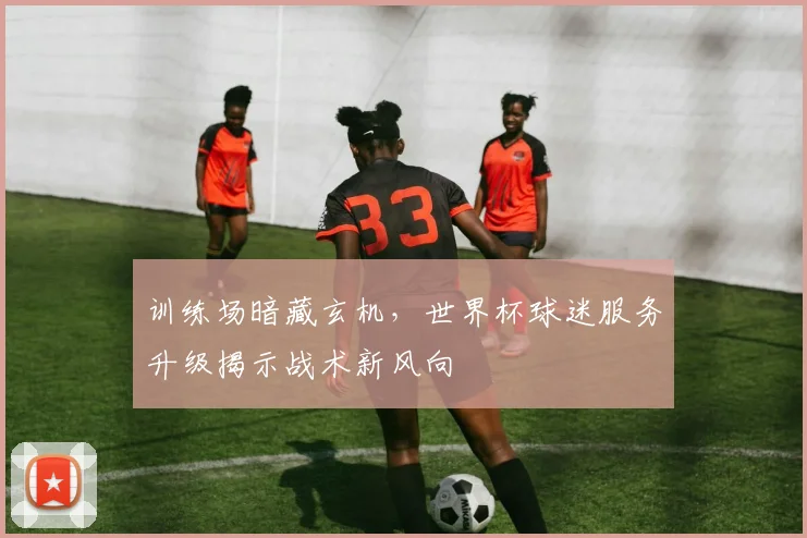 训练场暗藏玄机，世界杯球迷服务升级揭示战术新风向