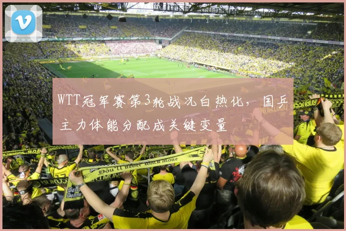WTT冠军赛第3轮战况白热化，国乒主力体能分配成关键变量